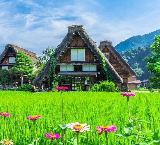 especialistas-en-japon