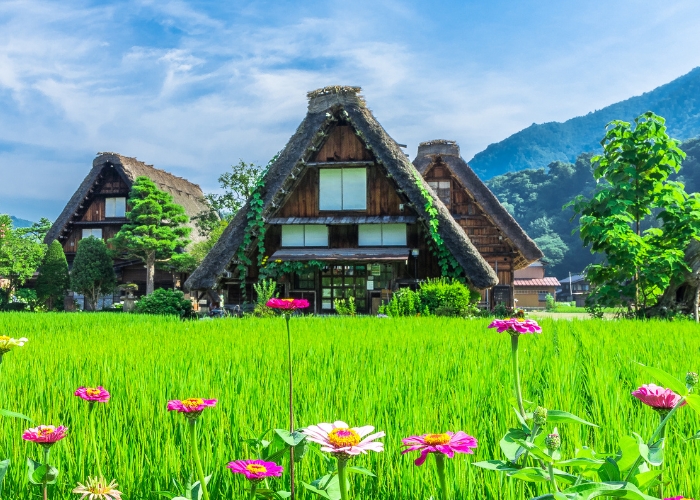 especialistas-en-japon