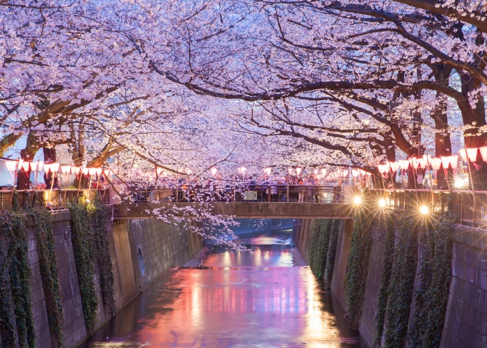 viaje-a-medida-a-japon