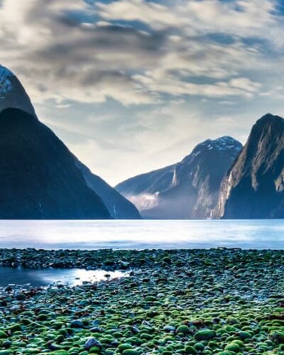 especialistas-en-nueva-zelanda