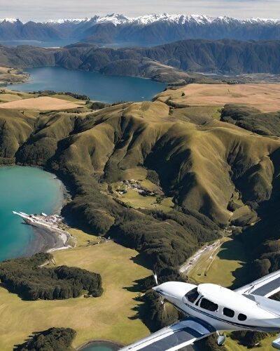 especialistas-en-nueva-zelanda