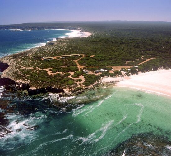 Australia: Extensión a Isla Canguro
