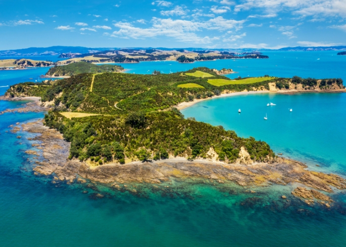 especialistas-en-nueva-zelanda