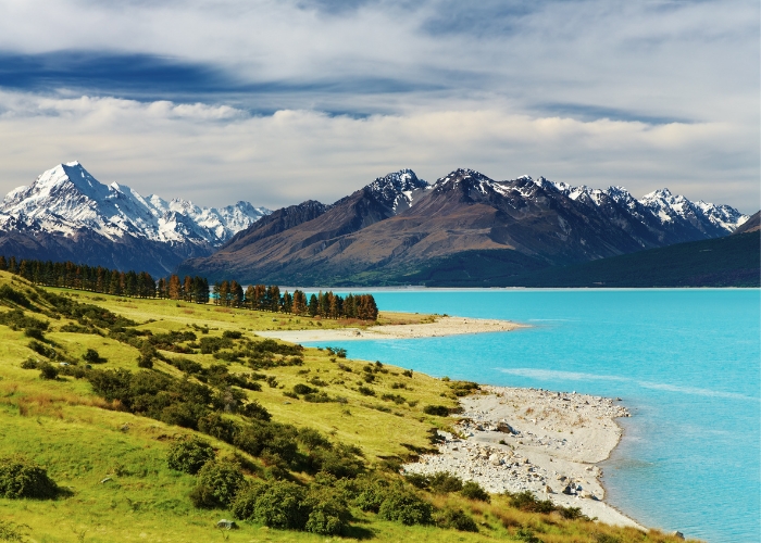 especialistas-en-nueva-zelanda